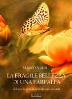 Marco Sgroi - La fragile bellezza di una farfalla